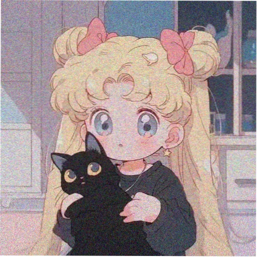观众临街的猫的头像